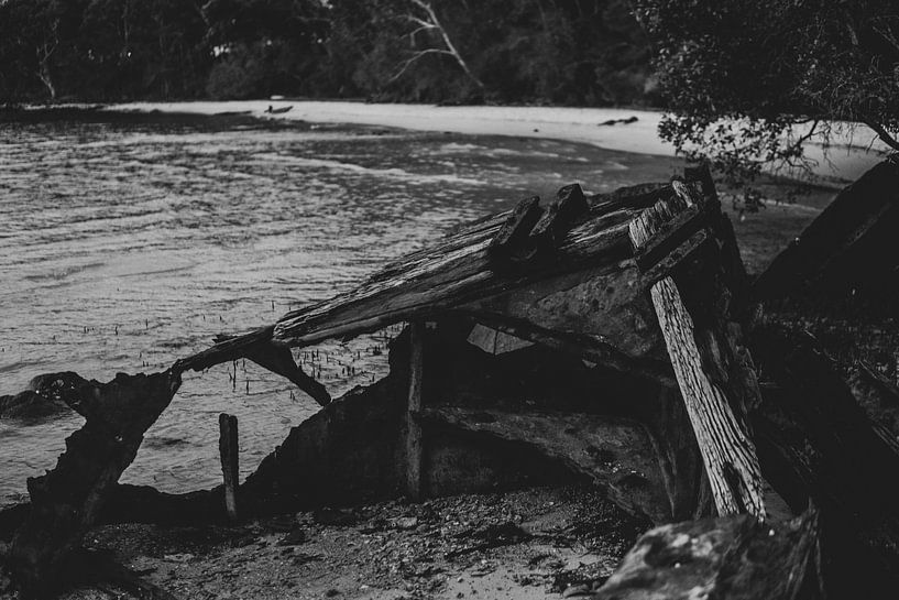 sheep wreck in black and white by Ennio Brehm