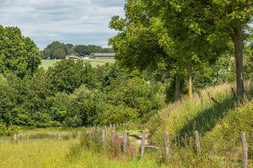 Holle weg bij Simpelveld in Zuid-Limburg