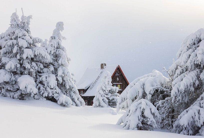 Winter Romance by Daniela Beyer