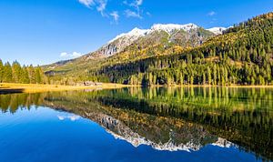 Die Ennskraxn spiegelt sich im Jägersee