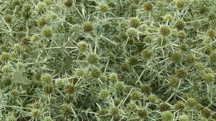 Turbulent green by Henk Rombouts