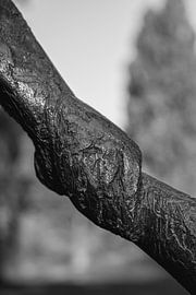 Der Flug Breda, schwarz und weiß von Francisca Tax