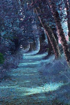 Weg im Park