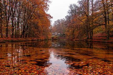 Herfst in volle glorie in park Zypendaal Arnhem van Daniëlle Langelaar Photography