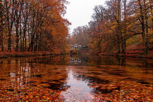 Herfst in volle glorie in park Zypendaal Arnhem