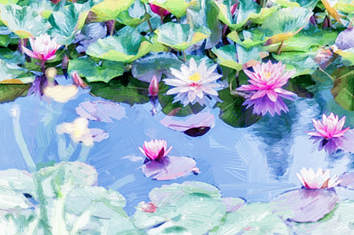 Pond with flowering water lilies by Paula van den Akker