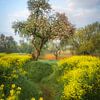 Spring Dream by Moetwil en van Dijk - Fotografie