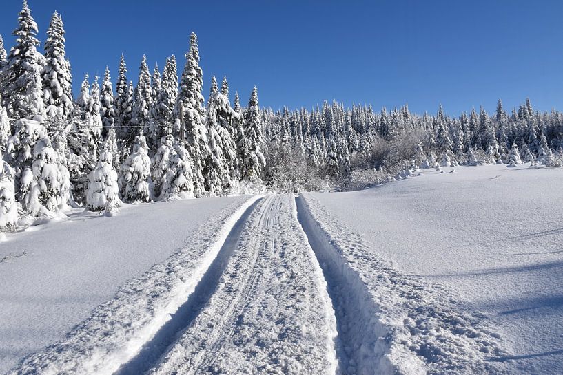Tracks on the road in winter by Claude Laprise