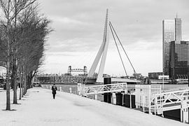 Westerkade von Fokke Terpstra