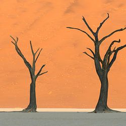 Namib Desert
