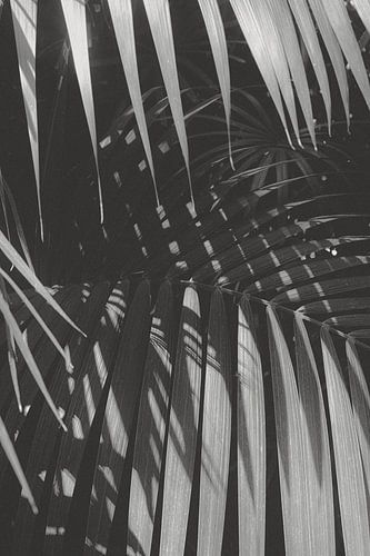 Botanische Studie 09