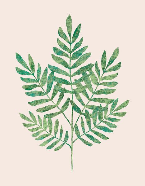 Botanische illustratie van acaciablad van Kristian Gallagher