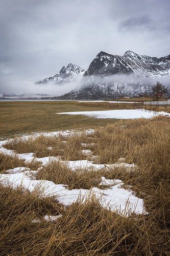 In Flakstad auf den Lofoten trifft verschneite Weidelandschaft auf majestätische Berge, N