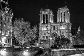 Zwart-Wit: Notre Dame in Parijs - laat in de avond van Rene Siebring