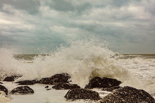 éclaboussures en mer du Nord