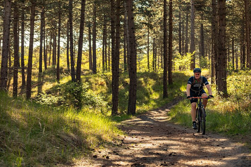 Mountainbiker in het naaldbomen bos van Percy's fotografie