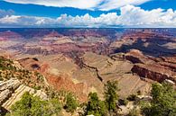 Grand Canyon - Top of the world van Remco Bosshard thumbnail