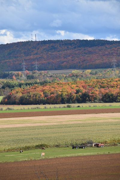 Farms after autumn harvest by Claude Laprise