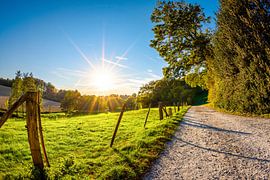 Path beside a meadow with bright sun in the background by Günter Albers