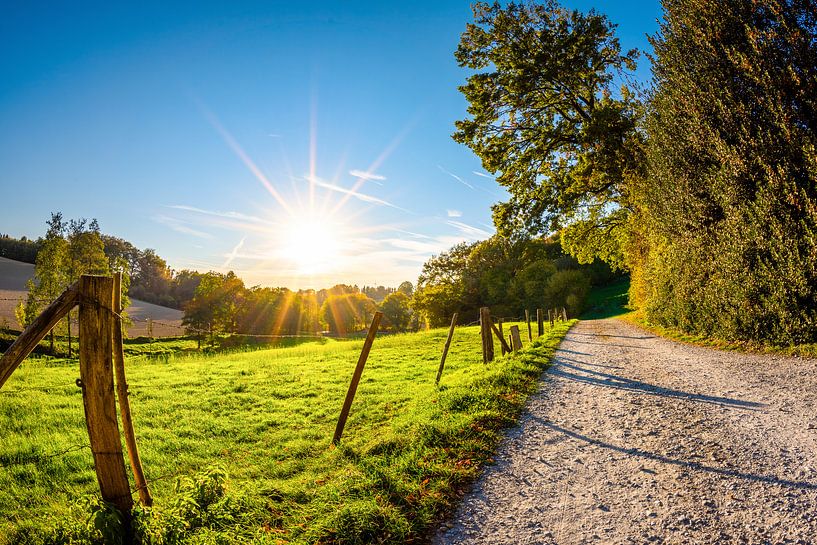 Path beside a meadow with bright sun in the background by Günter Albers