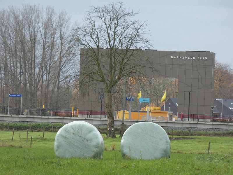 Station Barneveld Zuid van Veluws