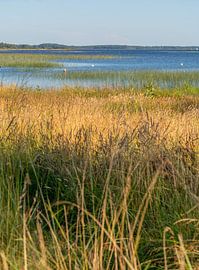 Lac de Lacanau in Frankreich von Achim Prill