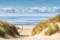 The beach, sea and dunes in summer