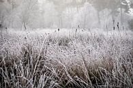 Winterlandschap op de Kampina van H Verdurmen thumbnail