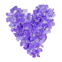 Flower heart