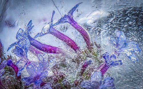 frozen flowers 3