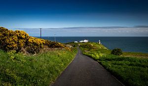 La route vers le phare de Baily sur Ronne Vinkx