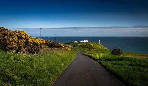 La route vers le phare de Baily