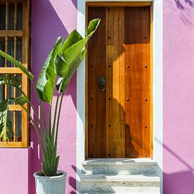 Roze huis met palmboom in Cartagena Colombia van Franci Leoncio