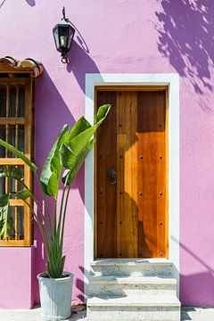 Roze huis met palmboom in Cartagena Colombia van Franci Leoncio