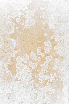 Organische Sandwand Abstraktes Foto