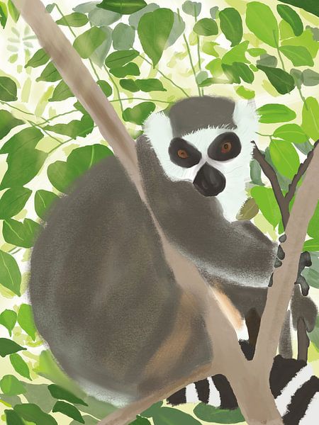 Lémurien à queue rousse dans la jungle par Piev