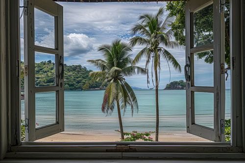 uitzicht uit het raam