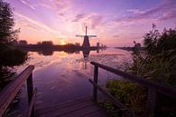 Mühlen in Kinderdijk bei Sonnenaufgang von Halma Fotografie Miniaturansicht