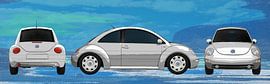 VW Beetle in painted