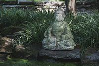 Buddha-Statue am Teich