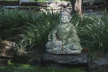 Buddha statue at pond by Nicole Van Stokkum