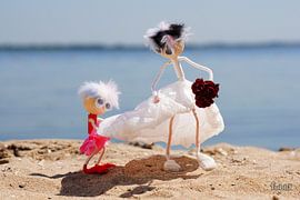 Fubby, demoiselle d'honneur avec la mariée sur la plage. sur Sailographic Paula
