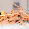 Verse krab, kreeft en langoustines van Melissa Peltenburg