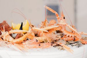 Frische Krabben, Hummer und Langustinen
