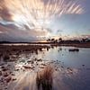 Strabrechtse Heide 292 by Deshamer
