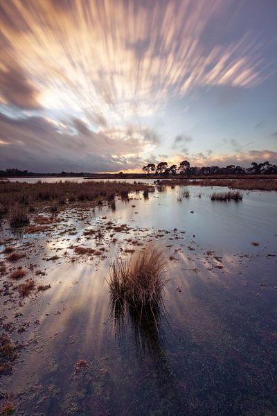 Strabrechtse Heide 292 par Deshamer