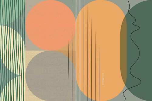 Mid-Century Bauhaus Boog Curves Geometrie Abstractie