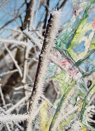 Winter magic by Kordula Werner