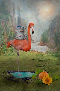 Flamingo als Balance-Talent