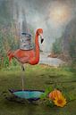 Flamingo als Balance-Talent von Ursula Di Chito Miniaturansicht